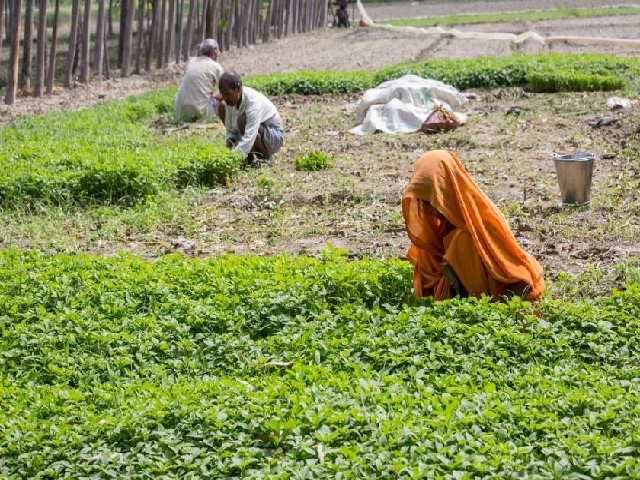 Uttarakhand brings ordinance to give co-ownership rights to women in husband’s property